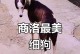 如何判断一只狗的纯度（以细狗为例，解读纯不纯的关键因素）