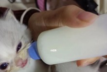 大猫又怀孕生小猫，如何给它最好的护理？（宠物猫产后护理步骤、喂养方法和常见问题）