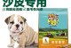 沙皮犬幼犬饮食管理（健康成长的重要保障）