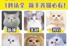 新手铲屎官带猫咪回家后如何养护？掌握这5点，养好猫咪并不难（养猫新手必读，关爱小猫咪的秘诀大揭秘）