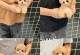 泰迪犬的疫苗接种指南（了解泰迪3个月后需要接种的疫苗，保护它的健康成长）