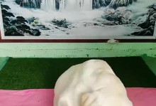 拉布拉多的合理饮食需求（掌握拉布拉多狗狗的饮食量，让它健康成长）