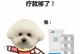 2岁泰迪狗的饮水需求——关注你的宠物的水源健康（探讨泰迪狗喝水的频率和水量，）