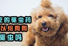 狗狗拉稀的应对方法（以宠物为主，药物副作用的解决方案）