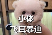 探索泰迪犬的品种和价格（了解不同泰迪犬品种的特点及价格范围）