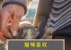 猫咪抚摸的快速入门法——让你瞬间“秒杀”猫咪（掌握正确技巧，让你成为猫咪最喜欢的人！）