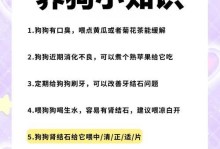 哈士奇狗粮最新排名介绍（为你的哈士奇选择最佳狗粮）