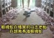 养蛇的饲养指南（了解蛇类饮食，打造健康养蛇环境）