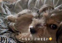 为什么狗狗总是像打嗝？（探究狗狗打嗝的原因及如何处理。）