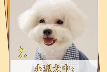 饲养巨型雪纳瑞的秘诀（从幼犬到成犬，让你的爱犬健康快乐成长）