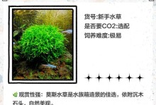 鱼缸水草的作用（提供氧气、净化水质，让鱼儿更健康）