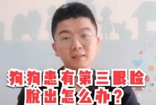 狗的第三眼睑（探索狗眼中的奇迹，解开第三眼睑的谜团）