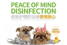 狗狗皮肤病的治疗药膏推荐（挑选适合的药膏帮助狗狗战胜皮肤病）