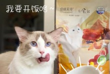 为什么宠物猫需要吃猫粮？（肉类食物是否适合宠物猫？）