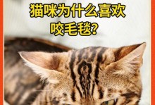 以为什么喜欢打猫（深入探讨打猫行为的动机与心理）