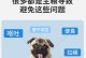 狗细小患者何时可以恢复正常饮食？（细小病毒对狗的饮食限制与注意事项）