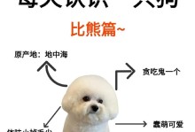 了解比熊的标准体重（宠主必备知识，轻松掌握比熊的体重控制）