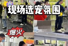 杭州的拉布拉多犬舍（探寻杭州地区优质拉布拉多犬舍的宠物犬服务）