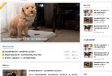 宠物网站大全——找到你心仪的宠物天堂（一站式指南，打造你与宠物的完美互动体验）