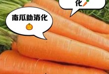 猫的日常食物选择（猫咪需要摄入哪些食物来维持健康？）