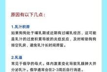 母狗乳房变大的原因及注意事项（了解乳房变大的周期和保健方法，帮助您更好地照顾母狗的健康）