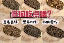 狗狗吐出异物怎么办？（给狗狗吃什么药可以帮助解决问题？）