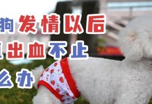 狗流血持续时间与怀孕周期的关系（探究狗流血持续时间对怀孕周期的影响及解决方法）