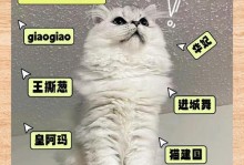 如何给猫起个好听的名字（以猫起名，用心寻找独特之处）