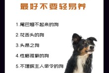 狗的活动特点及其重要性（了解狗的活动特点，享受与狗的互动乐趣）