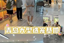 承德市哪里可以买到健康可爱的狗狗？（探索承德市的狗狗购买地点，让你寻找到心仪的宠物伙伴）