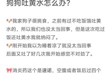 狗发吐的原因及处理方法（了解狗发吐的原因，保持宠物的健康和安全）