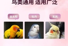 盘点排名前六最安静的鹦鹉，非常适合公寓饲养（选择适合公寓环境的安静鹦鹉宠物，享受宁静生活）