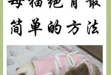 母猫剖腹产的恢复期（了解剖腹产术后母猫的康复时间和注意事项）