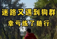 让宠物狗狗随行三步走（从准备到实践，轻松掌握带狗狗出行的技巧）