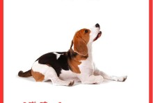 狗为何能学会狼叫？（探究狗能够学习狼叫的原因及其意义）