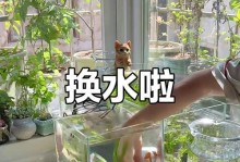 鱼缸水的换水频率对鱼儿健康至关重要（鱼缸水质的管理与维护）