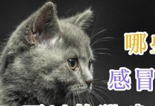 猫咪的禁食药物（保护宠物健康，避免给猫咪错误喂药）