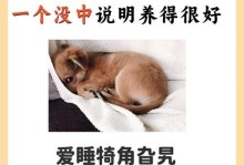 为什么狗睡觉时会咳嗽？（探究狗咳嗽与睡眠关系的原因及可能的解决方案）