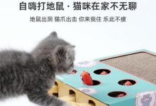 猫咪心头好！最受欢迎的玩具榜单揭晓（解密猫咪最爱的玩具，让你的喵星人开心玩耍）