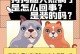 狗狗食欲不振怎么办？（了解狗狗不吃饭的原因及解决方法）