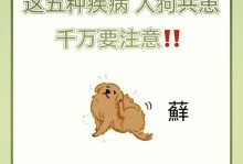 宠物狗患寄生虫，如何应对？（教你轻松解决狗狗身上的虫子问题）