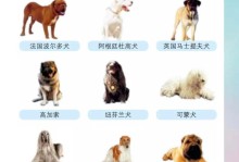 禁止养秋田犬的地方（保护生态平衡与安全的考量）