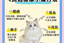 全面指南（从幼猫到老猫，了解不同年龄段猫咪的饮食需求和喂养技巧）