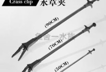 银龙喂食工具选择与使用（以银龙为例，探究适合龙类喂食的工具及使用方法）