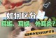 猫咪治疗耳螨的小妙招——轻松摆脱耳螨问题（有效而安全的方法帮助猫咪摆脱耳螨困扰）