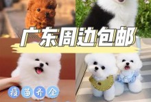 贵宾犬的疫苗接种频率及注意事项（了解贵宾犬疫苗接种的时间和注意事项，确保宠物的健康和安全）