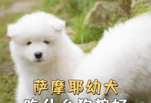 如何选择适合萨摩耶的优质狗粮（了解萨摩耶狗的特点和需求）