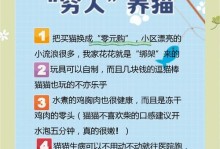 养猫的坏处与注意事项（为了猫咪与自己的健康，必须了解的重要问题）
