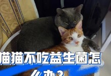 宠物便秘怎么办？（两周小猫两天不拉屎的处理方法）