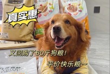 大型狗狗粮，选购何牌子最佳？（大型犬的营养需求及粮食选择指南）